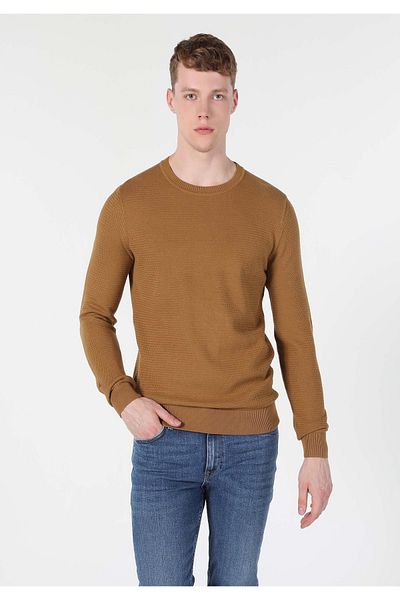 Colin's Regular Fit Round Neck Jacquard Men's Brown Sweater