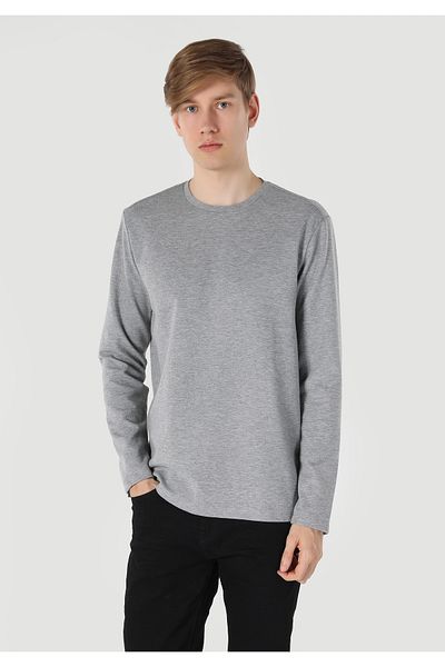 Colin's Regular Fit Crew Neck Gray Men's Long Sleeve T-Shirt