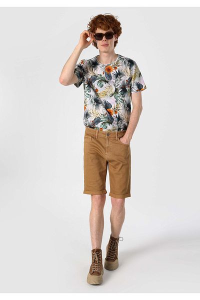 Colin's Medium Waist Brown Men's Shorts - Regular Cut Cl 1062644