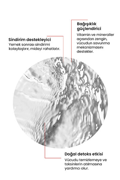 BAĞDEM YEŞİL CEVİZ SİRKESİ 250 ML