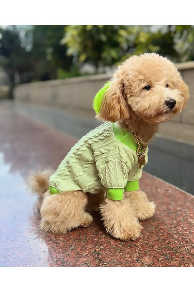 PETITE Fistik Yesili Köpek kazagi Köpek Kıyafeti