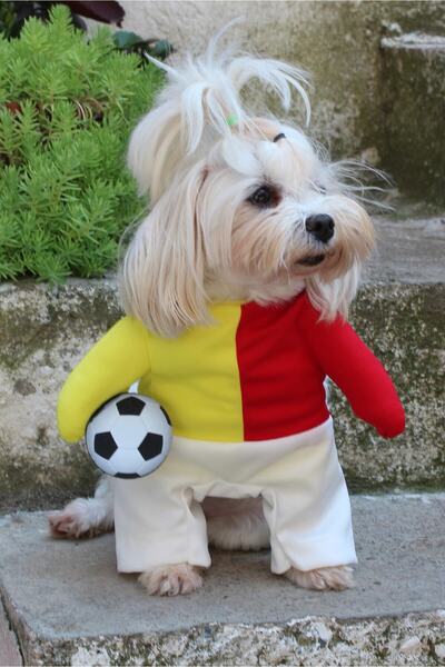 PETITE Taraftar SARI KIRMIZI Onden Giydirmeli Köpek Kıyafeti Kostümü