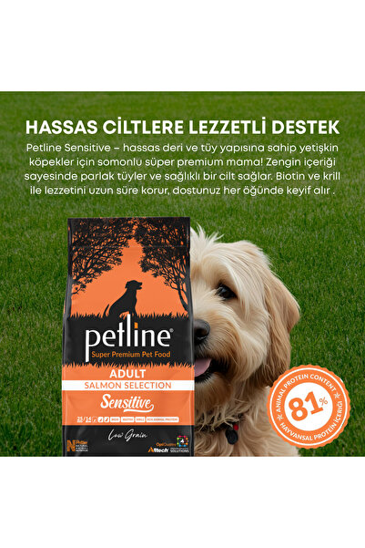 Petline Tüy Ve Deri Sağlığı Için Özel Formüllü- Somonlu Yetişkin Köpek Maması...