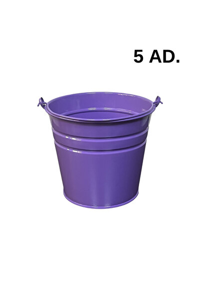 ÖZHEMMEKLER 5 Adet Saplı Mini Mor Renk Kova (18x13x15)