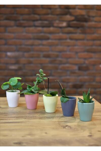 Genel Markalar Athens 5li Mini Seramik Saksı Seti