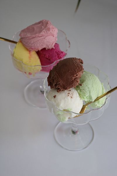 FARALYAHOME Papatya Model Double Glend Presentation Ice Cream Cup