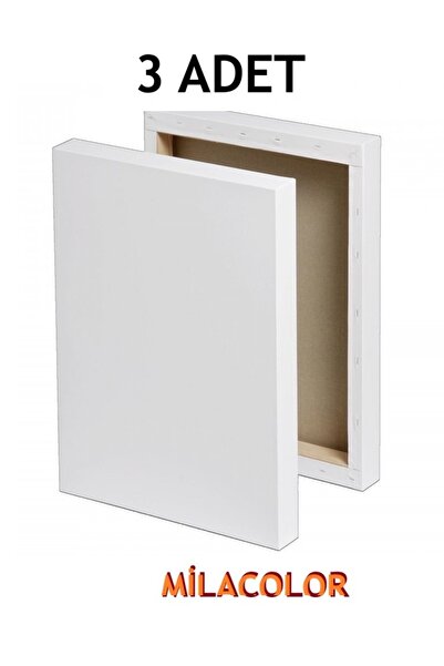 Foxy Tuval 25x35 3 Lü Paket