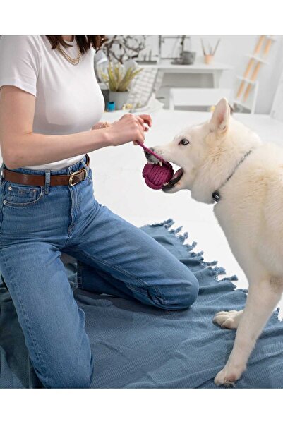 Holidog Köpek Diş Ipi Isırma Halatı Dayanıklı Orijinal Tenis Toplu El Yapımı At-getir Çekiştirme Oyuncağı