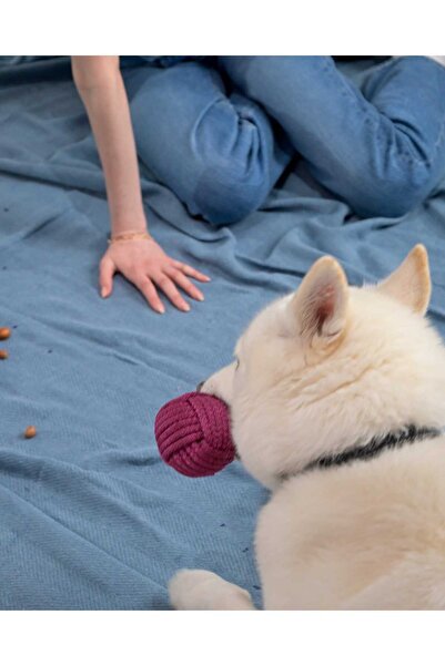 Holidog Köpek Diş Ipi Isırma Halatı Dayanıklı Orijinal Tenis Toplu El Yapımı At-getir Çekiştirme Oyuncağı