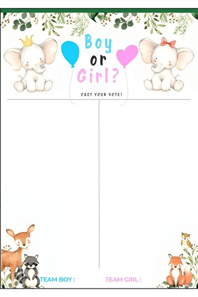 512 STORE Bebek Cinsiyet Partisi Tahmin Oylama 33x48 Çerçevesiz Poster 10 Pem...