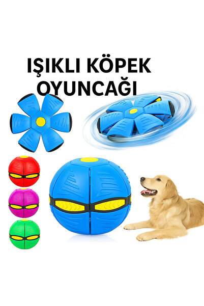 Numa كرة فريسبي للحيوانات الأليفة مضاءة - مثالية للألعاب الليلية، لعبة تفاعلي...