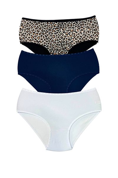 MİSSEMMA Women's 3 Pieces High Waist Panties