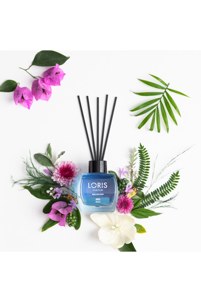 Loris Înger Odorizant Camera 120 ML