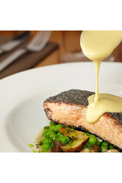 GASTROBACK Hand Blender Waring Light-Duty Quik Stik