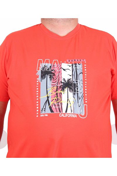 Starbattal Men's Plus Size Crew Neck T-Shirt Beach Party 25191 Pomegranate Flower