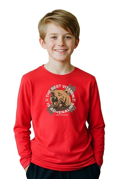panios kids Plain Round Neck Bearr Printed Detail Boy's Sweatshirt
