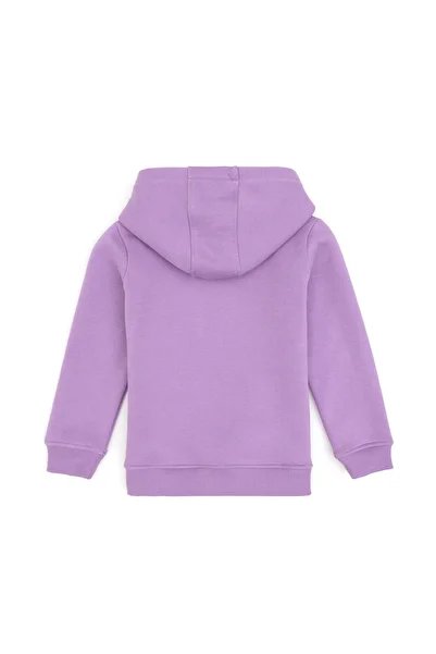 U.S. Polo Assn. Girl's Lilac Basic Hooded Basic Sweatshirt 50314311-Vr034
