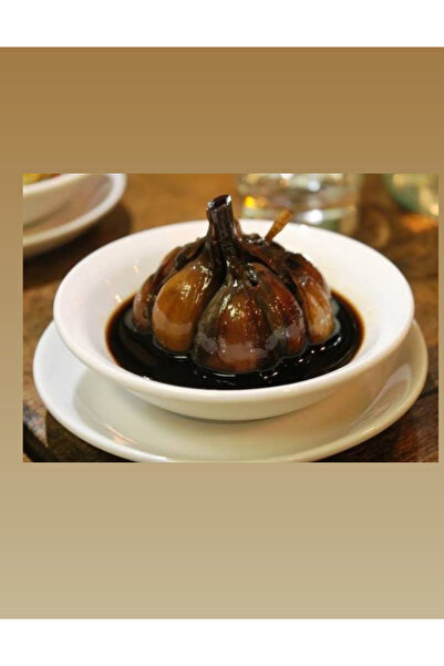 BADR SARIMSAK TURŞU_SİR TORŞİ