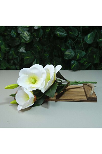 Kanguroom Gerçek Dokulu Manolya 3 Dal Tomurcuklu Beyaz Islak Manolya Demeti 4...