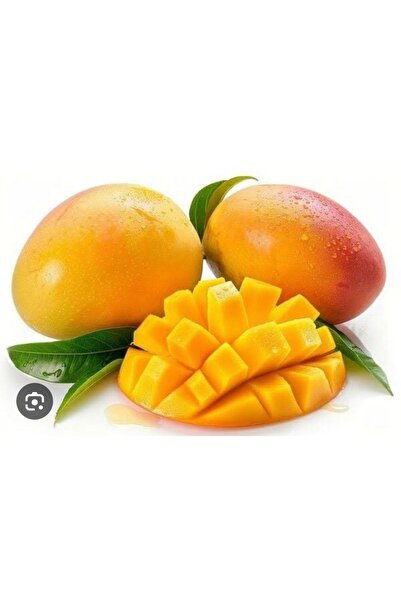 ADKTROPİKAL 1 ADET MANGO MEYVESİ