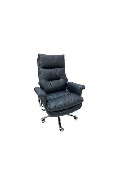 rexa Ergonomic High-Back Executive Reclining Office Chair – Home Computer Desk Chair with Armrests