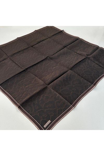 Armine 2026 Autumn-Winter Season Pure Sura Silk Scarf Pku0904
