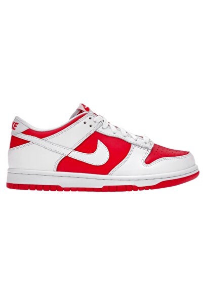 Nike Dunk Low Spor Ayakkabı