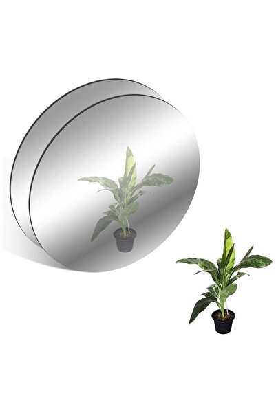 Generic 2 Pack Acrylic Round Mirrors - 30cm Non-Glass Round Mirror Plates for...