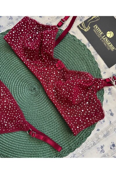 İntive Lingerie Pointy Love Transparent Soft Tulle Shiny Polka Dot Underwire Stylish Bra Set