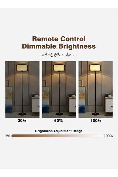 Sheinhome Floor Lamp with Dual-layer lampshade, Tri-color dimmable Vertical Standing Lamp, 12 Watt