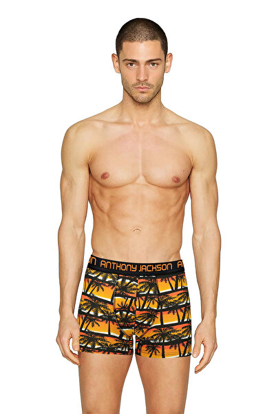 ANTHONY JACKSON Lycra 5-3 τεμαχίων με μοτίβο Premium Ανδρικό Boxer Palm Horizon