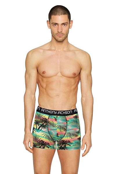 ANTHONY JACKSON Lycra 5-Piece-3-Piece Box Patterned Premium Men's Boxer Palm Horizon