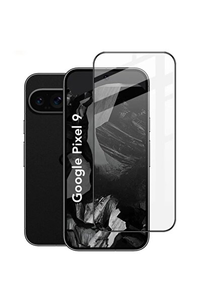 SKYDDAR INNOVATION Folie de protecție pentru Google Pixel 9 / Pixel 9 Pro, st...