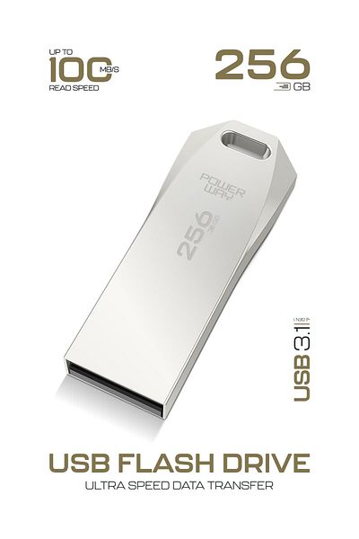 POWERWAY Premium 256 Gb USB 3.1 Metal Body Ultra Speed Flash Memory Data Traveler