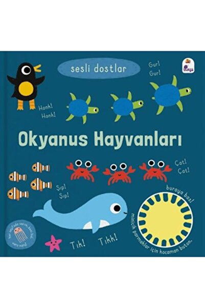 İndigo Kitap Sesli Dostlar - Okyanus Hayvanları (Sesli Kitap)