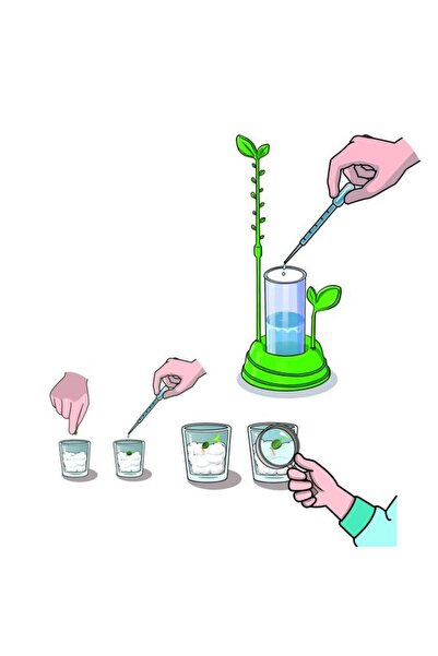 CLEMENTONI Joc Stiinta si joaca - Gradina mea