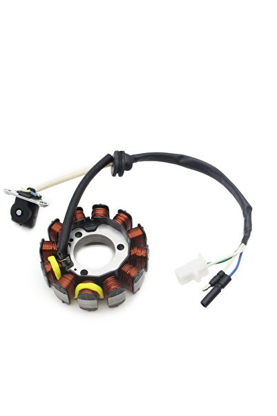 EVO MOTORS Stator Moto Honda CBF 125 bobina 2008-2015 Alternator
