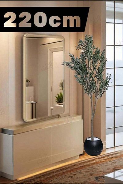BYT ALRWASM FOR TRADE Khalidiya Fruitful Olive Tree with Large Black Pot, Elegant Design, 220 cm