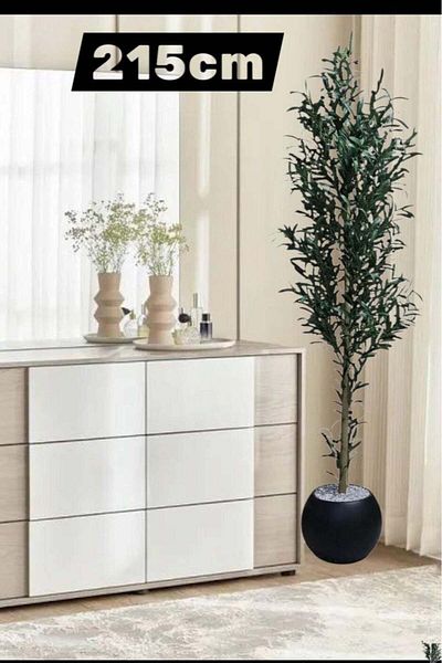 BYT ALRWASM FOR TRADE Fruitful Olive Tree with Large Black Pot - 215 cm