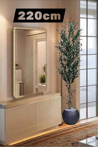 BYT ALRWASM FOR TRADE Fruit-Bearing Olive Tree with Large Gray Pot - 220 cm