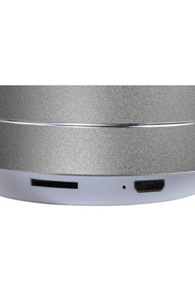 DomoClip Portable Speaker Clip Sonic TES196S, 3 W, FM Mode (Silver)