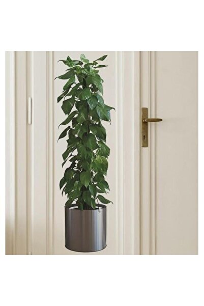 3B Trend 90*30 cm Bitki Tasarım Duvar Sticker Bitki Saksı Desen Duvar Çıkartm...