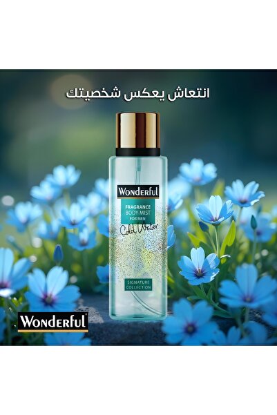 Wonderful بخاخ للجسم - ماء بارد أزرق 12 × 250 مل عبوة كبيرة