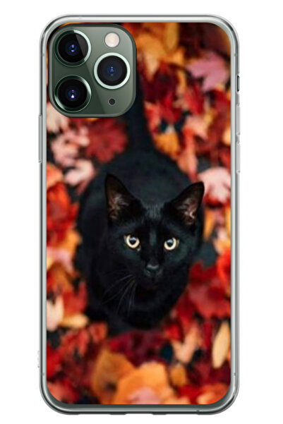Atlas Husa personalizata pentru Apple iPhone 11 Pro, model Black Cat #3, S1D1...