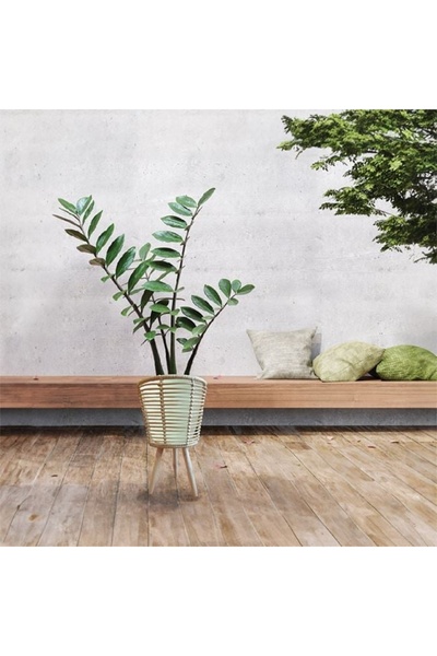 divendi-ro Flower pot, wooden, with braided pattern and feet, diameter 25x46.5cm, beige
