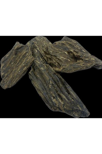 alwaseef Pure Indonesian Kalimantan Oud 125g
