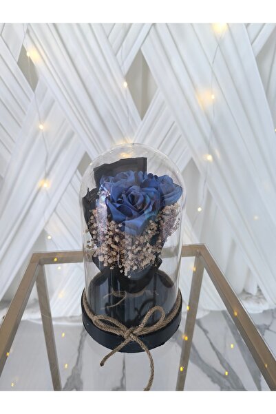 Hayalince Kişiye Özel Fanus İçinde 3 Adet Mavi Solmayan Gül