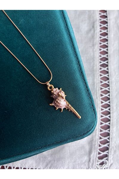 Miltonia Seashell Steel Necklace