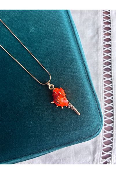 Miltonia Seashell Steel Necklace