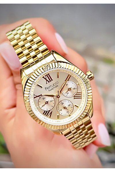 Ferrucci Women's Wristwatch Function Model Steel Cord Waterproof Bracelet Gift